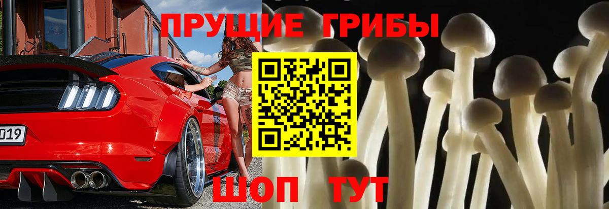 Новоуральск  Псилоцибиновые грибы ЛСД  Вход с VPN 